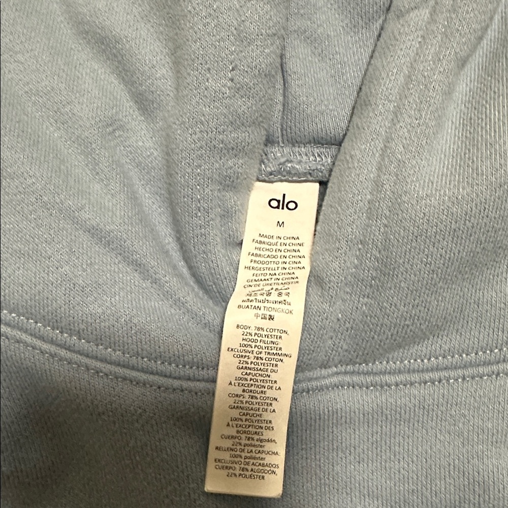 Alo Yoga Heavy Weight Renown Hoodie Medium Unisex - Picture 6 of 11